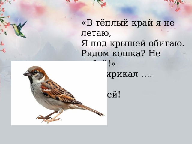 «В тёплый край я не летаю, Я под крышей обитаю. Рядом кошка? Не робей!» Так чирикал ….  воробей! 