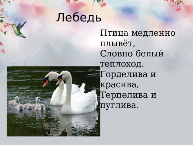 Лебедь Птица медленно плывёт, Словно белый теплоход. Горделива и красива, Терпелива и пуглива. 