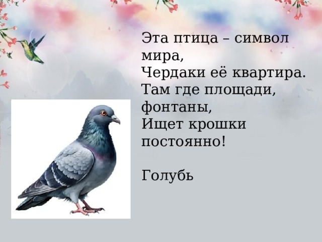 Эта птица – символ мира, Чердаки её квартира. Там где площади, фонтаны, Ищет крошки постоянно!  Голубь 