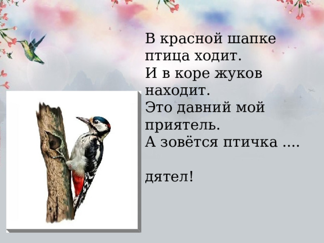В красной шапке птица ходит. И в коре жуков находит. Это давний мой приятель. А зовётся птичка ....  дятел! 