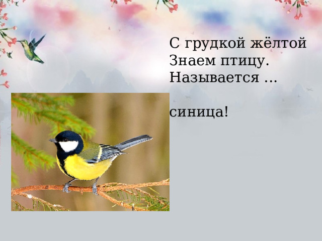 С грудкой жёлтой Знаем птицу. Называется ...  синица! 