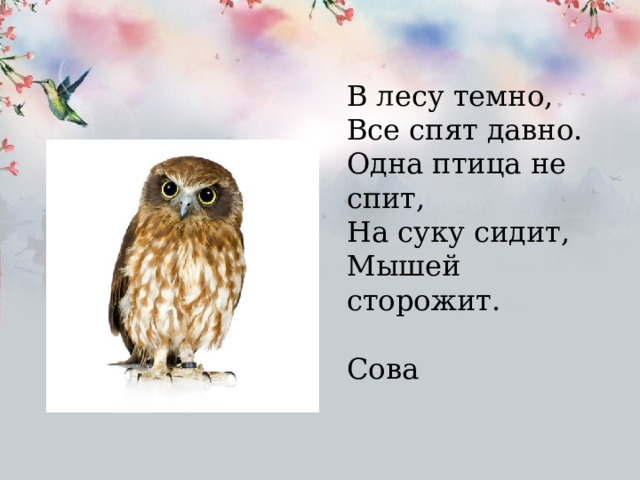 В лесу темно, Все спят давно. Одна птица не спит, На суку сидит, Мышей сторожит.  Сова 