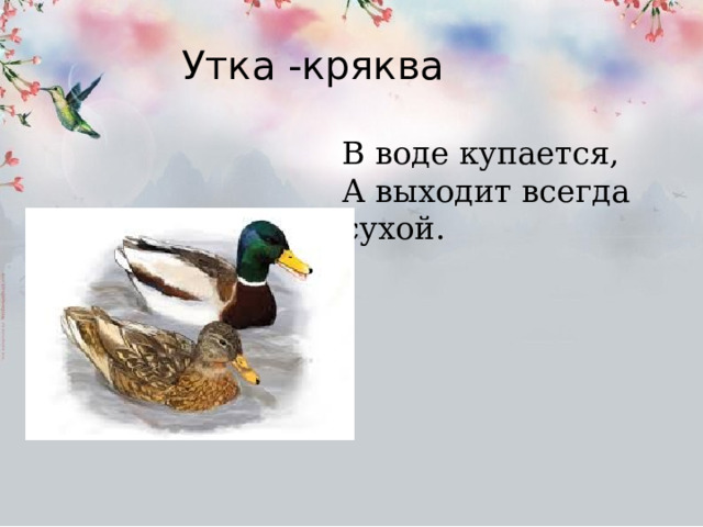 Утка -кряква В воде купается, А выходит всегда сухой. 