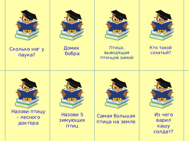 Сколько ног у паука? Домик Кто такой сохатый? Птица, выводящая птенцов зимой бобра Назови птицу – лесного доктора Назови 5 зимующих птиц Из чего варил кашу солдат? Самая большая птица на земле 