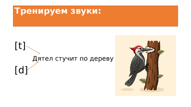 Тренируем звуки:   [t] [d] Дятел стучит по дереву 