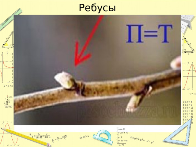 Ребусы 