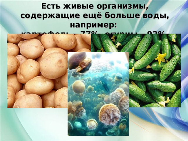 Есть живые организмы, содержащие ещё больше воды, например:  картофель – 77%, огурцы – 92%, медузы – 99%.   