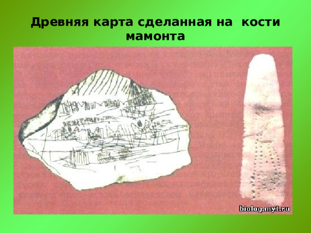 Древняя карта сделанная на кости мамонта 