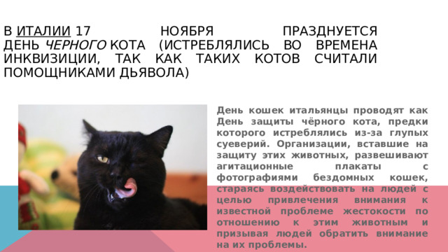 В  Италии  17 ноября празднуется день  черного  кота (истреблялись во времена инквизиции, так как таких котов считали помощниками дьявола) День кошек итальянцы проводят как День защиты чёрного кота, предки которого истреблялись из-за глупых суеверий. Организации, вставшие на защиту этих животных, развешивают агитационные плакаты с фотографиями бездомных кошек, стараясь воздействовать на людей с целью привлечения внимания к известной проблеме жестокости по отношению к этим животным и призывая людей обратить внимание на их проблемы. 