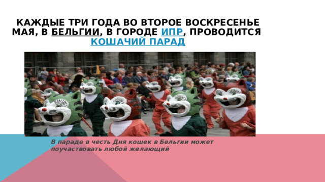 Каждые три года во второе воскресенье мая, в  Бельгии , в городе  Ипр , проводится  кошачий парад   В параде в честь Дня кошек в Бельгии может поучаствовать любой желающий 