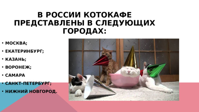 В России котокафе представлены в следующих городах: Москва; Екатеринбург; Казань; Воронеж; Самара Санкт-Петербург; Нижний Новгород. 