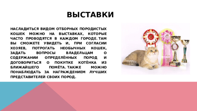 Выставки    Насладиться видом отборных породистых кошек можно на выставках, которые часто проводятся в каждом городе. Там вы сможете увидеть и, при согласии хозяев, потрогать необычных кошек, задать вопросы владельцам о содержании определённых пород и договориться о покупке котёнка из ближайшего помёта. Также можно понаблюдать за награждением лучших представителей своих пород. 