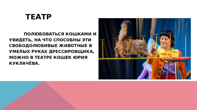 Театр    Полюбоваться кошками и увидеть, на что способны эти свободолюбивые животные в умелых руках дрессировщика, можно в Театре кошек Юрия Куклачёва. 