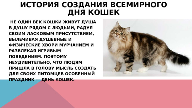 История создания Всемирного дня кошек    Не один век кошки живут душа в душу рядом с людьми, радуя своим ласковым присутствием, вылечивая душевные и физические хвори мурчанием и развлекая игривым поведением. Поэтому неудивительно, что людям пришла в голову мысль создать для своих питомцев особенный праздник — День кошек. 