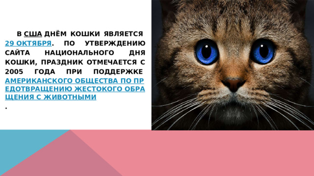   В  США  Днём кошки является  29 октября . По утверждению сайта Национального дня кошки, праздник отмечается с 2005 года при поддержке  Американского общества по предотвращению жестокого обращения с животными . 