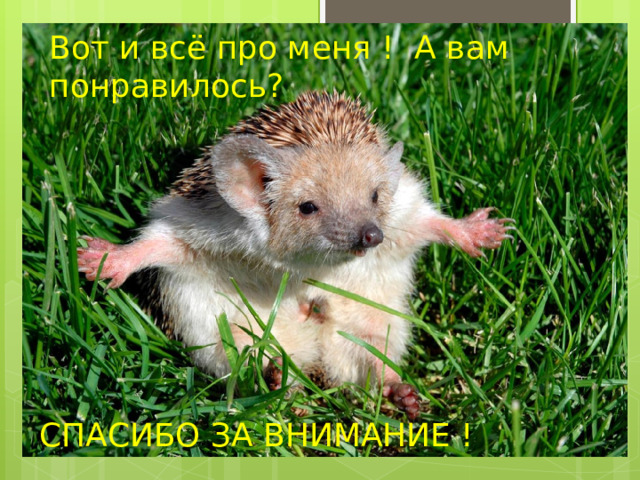 Вот и всё про меня ! А вам понравилось? СПАСИБО ЗА ВНИМАНИЕ ! 