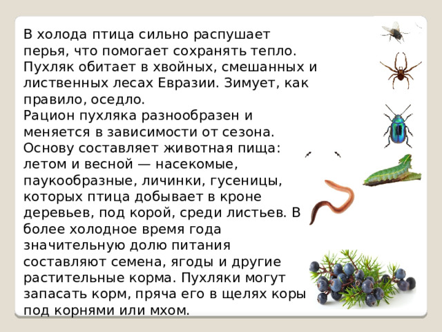 В холода птица сильно распушает перья, что помогает сохранять тепло. Пухляк обитает в хвойных, смешанных и лиственных лесах Евразии. Зимует, как правило, оседло. Рацион пухляка разнообразен и меняется в зависимости от сезона. Основу составляет животная пища: летом и весной — насекомые, паукообразные, личинки, гусеницы, которых птица добывает в кроне деревьев, под корой, среди листьев. В более холодное время года значительную долю питания составляют семена, ягоды и другие растительные корма. Пухляки могут запасать корм, пряча его в щелях коры, под корнями или мхом. 