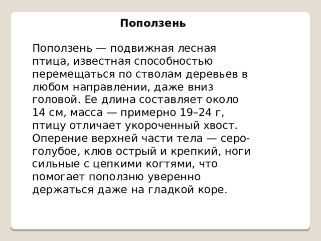 Поползень Поползень — подвижная лесная птица, известная способностью перемещаться по стволам деревьев в любом направлении, даже вниз головой. Ее длина составляет около 14 см, масса — примерно 19–24 г, птицу отличает укороченный хвост. Оперение верхней части тела — серо-голубое, клюв острый и крепкий, ноги сильные с цепкими когтями, что помогает поползню уверенно держаться даже на гладкой коре. 