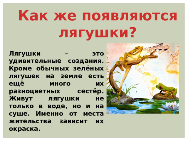Как же появляются лягушки? Лягушки – это удивительные создания. Кроме обычных зелёных лягушек на земле есть ещё много их разноцветных сестёр. Живут лягушки не только в воде, но и на суше. Именно от места жительства зависит их окраска. 