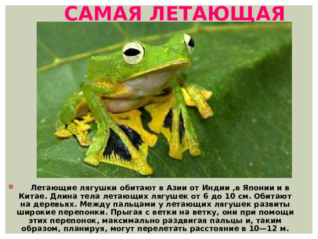 Самая летающая  Летающие лягушки обитают в Азии от Индии ,в Японии и в Китае. Длина тела летающих лягушек от 6 до 10 см. Обитают на деревьях. Между пальцами у летающих лягушек развиты широкие перепонки. Прыгая с ветки на ветку, они при помощи этих перепонок, максимально раздвигая пальцы и, таким образом, планируя, могут перелетать расстояние в 10—12 м. 