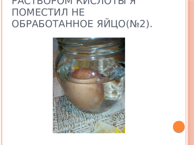 Во вторую емкость с раствором кислоты я поместил не обработанное яйцо(№2). 