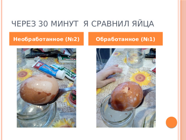 Через 30 минут я сравнил яйца Необработанное (№2) Обработанное (№1) 