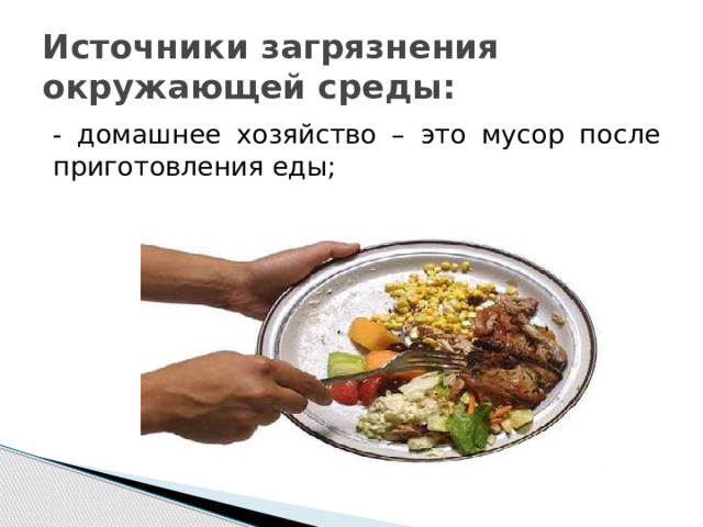 Источники загрязнения окружающей среды: - домашнее хозяйство – это мусор после приготовления еды; 