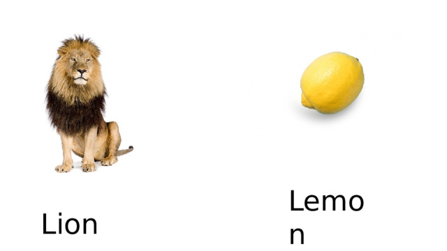 Lemon Lion 