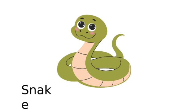 Snake 