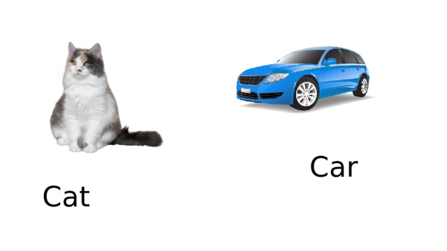 Car Cat 