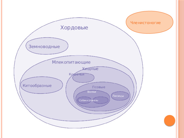 Членистоногие Хордовые Земноводные Млекопитающие Хищные Кошачьи Китообразные Псовые Волки Лисицы Собаки  Шакалы 