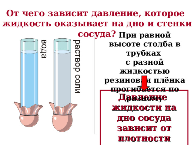 От чего зависит давление, которое жидкость оказывает на дно и стенки сосуда? При равной высоте столба в трубках с разной жидкостью резиновая плёнка прогибается по разному Давление жидкости на дно сосуда зависит от плотности жидкости 