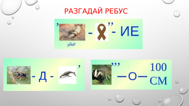 Разгадай ребус 