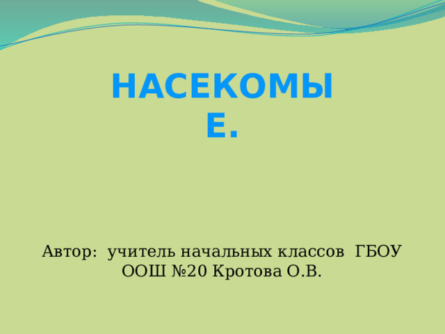 НАСЕКОМЫЕ. Автор: учитель начальных классов ГБОУ ООШ №20 Кротова О.В. 