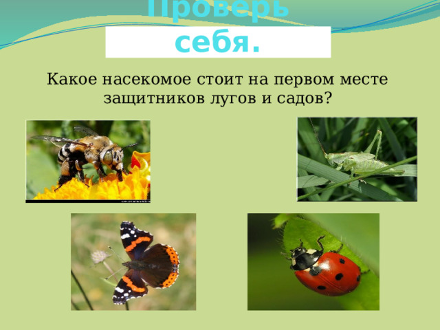 Проверь себя. Какое насекомое стоит на первом месте защитников лугов и садов? 