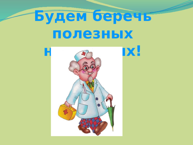Будем беречь полезных насекомых! 