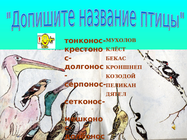 тонконос- крестонос- долгонос- серпонос- сетконос- мешконос- долбонос- МУХОЛОВ КЛЁСТ БЕКАС КРОНШНЕП КОЗОДОЙ ПЕЛИКАН ДЯТЕЛ 