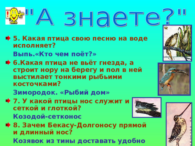 5. Какая птица свою песню на воде исполняет?   Выпь.«Кто чем поёт?» 6.Какая птица не вьёт гнезда, а строит нору на берегу и пол в ней выстилает тонкими рыбьими косточками?  Зимородок. «Рыбий дом» 7. У какой птицы нос служит и сеткой и глоткой?  Козодой-сетконос 8. Зачем Бекасу-Долгоносу прямой и длинный нос?  Козявок из тины доставать удобно  