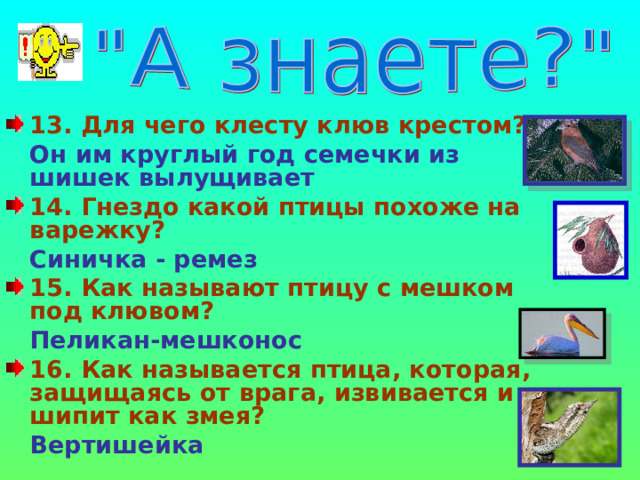 13. Для чего клесту клюв крестом?  Он им круглый год семечки из шишек вылущивает 14. Гнездо какой птицы похоже на варежку?  Синичка - ремез 15. Как называют птицу с мешком под клювом?  Пеликан-мешконос 16. Как называется птица, которая, защищаясь от врага, извивается и шипит как змея?  Вертишейка  