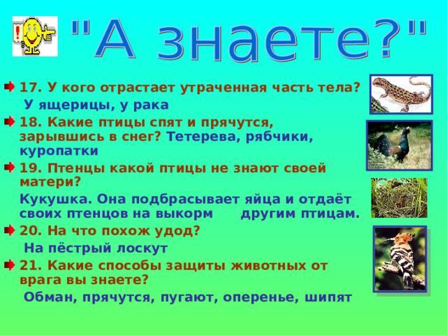 17. У кого отрастает утраченная часть тела?   У ящерицы, у рака 18. Какие птицы спят и прячутся, зарывшись в снег? Тетерева, рябчики, куропатки 19. Птенцы какой птицы не знают своей матери?  Кукушка. Она подбрасывает яйца и отдаёт своих птенцов на выкорм  другим птицам. 20. На что похож удод?   На пёстрый лоскут 21. Какие способы защиты животных от врага вы знаете?   Обман, прячутся, пугают, оперенье, шипят  
