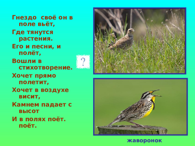 Гнездо своё он в поле вьёт, Где тянутся растения. Его и песни, и полёт, Вошли в стихотворение. Хочет прямо полетит, Хочет в воздухе висит, Камнем падает с высот И в полях поёт. поёт.  жаворонок 