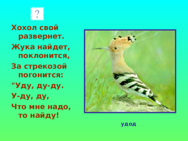 Хохол свой развернет. Жука найдет, поклонится, За стрекозой погонится: 