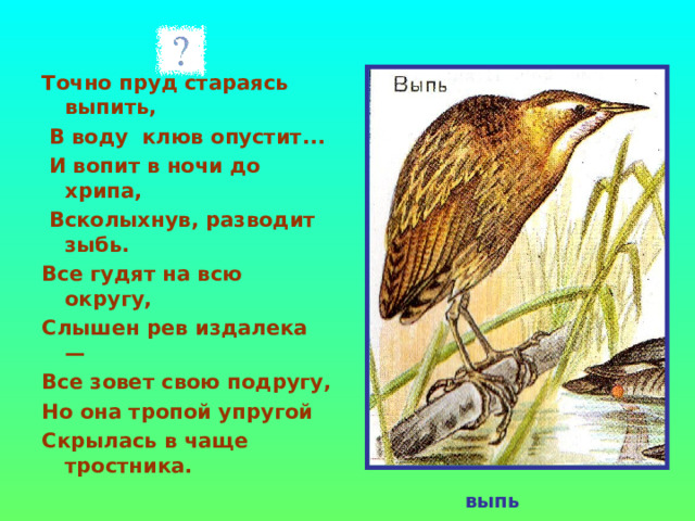  Точно пруд стараясь выпить,  В воду клюв опустит...  И вопит в ночи до хрипа,  Всколыхнув, разводит зыбь. Все гудят на всю округу, Слышен рев издалека — Все зовет свою подругу, Но она тропой упругой Скрылась в чаще тростника. выпь 