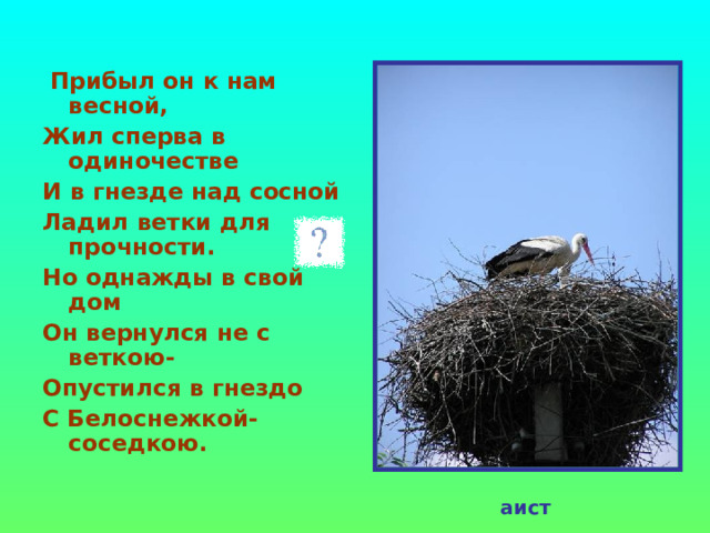  Прибыл он к нам весной, Жил сперва в одиночестве И в гнезде над сосной Ладил ветки для прочности. Но однажды в свой дом Он вернулся не с веткою- Опустился в гнездо С Белоснежкой-соседкою. аист 