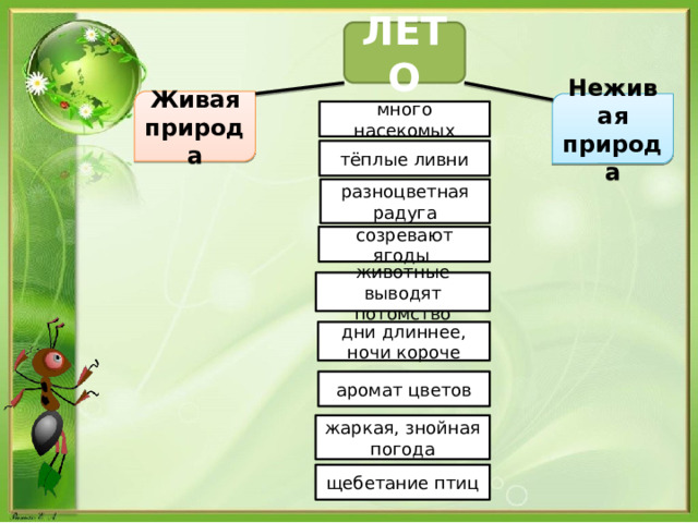 ЛЕТО Живая природа Неживая природа много насекомых тёплые ливни разноцветная радуга созревают ягоды животные выводят потомство дни длиннее, ночи короче аромат цветов жаркая, знойная погода щебетание птиц 