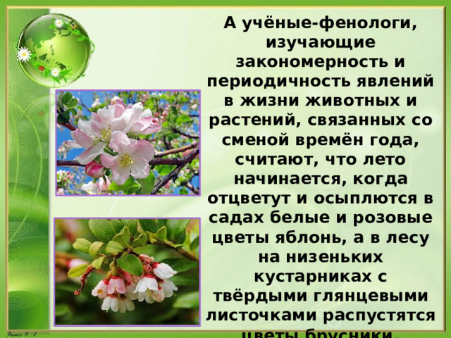 А учёные-фенологи, изучающие закономерность и периодичность явлений в жизни животных и растений, связанных со сменой времён года, считают, что лето начинается, когда отцветут и осыплются в садах белые и розовые цветы яблонь, а в лесу на низеньких кустарниках с твёрдыми глянцевыми листочками распустятся цветы брусники . 