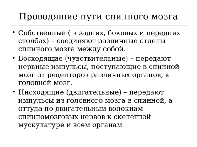 Проводящие пути спинного мозга Собственные ( в задних, боковых и передних столбах) – соединяют различные отделы спинного мозга между собой. Восходящие (чувствительные) – передают нервные импульсы, поступающие в спинной мозг от рецепторов различных органов, в головной мозг. Нисходящие (двигательные) – передают импульсы из головного мозга в спинной, а оттуда по двигательным волокнам спинномозговых нервов к скелетной мускулатуре и всем органам. 