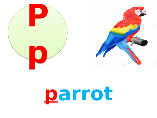 Pp p arrot 
