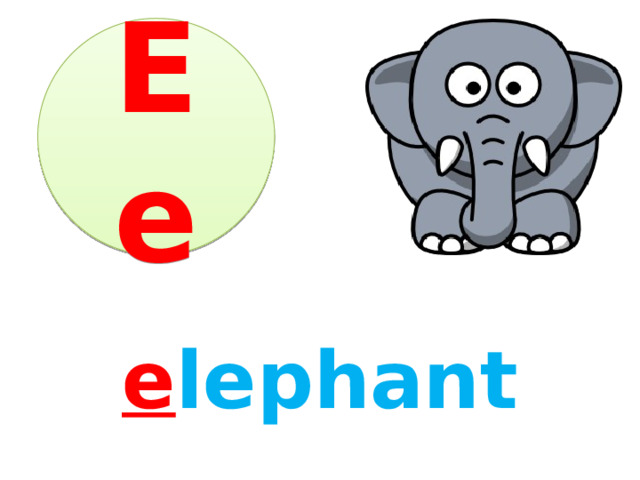 Ee e lephant 