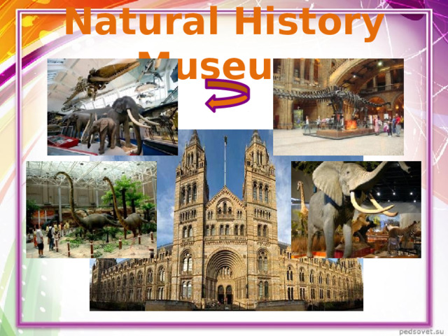 Natural History Museum 